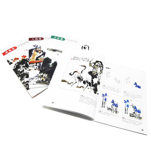 国画基础教程 花鸟篇 国画入门基础教程书临摹画册入门书画画书教材美术教程水墨画教程写意画技法书中国画技法入门到精通教材教程 商品图3