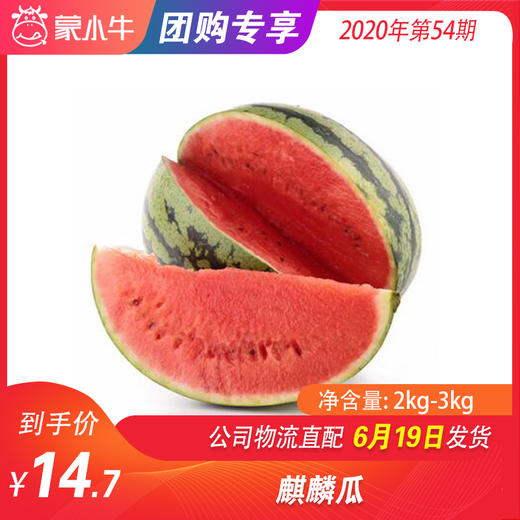 【水果团购】麒麟瓜2KG-3KG 商品图0