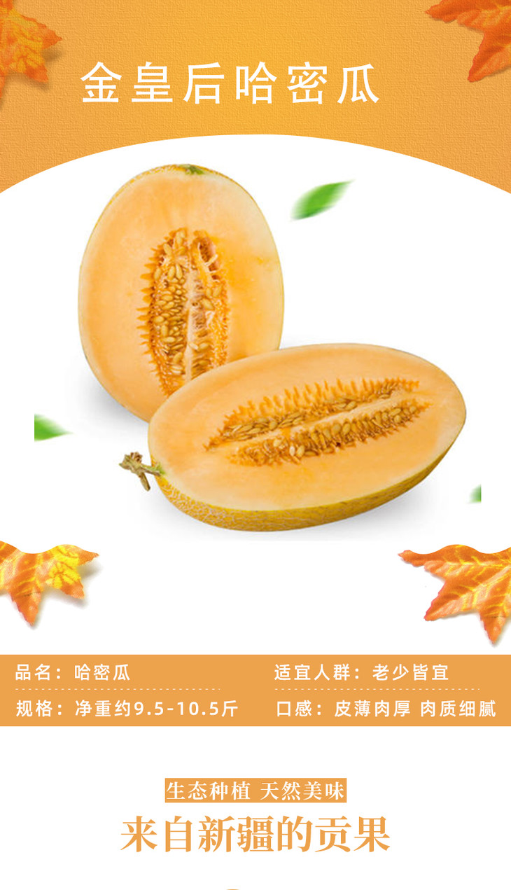 【益果源】金皇后哈密瓜 约2.5kg