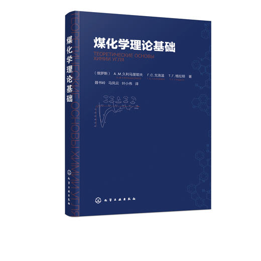 煤化学理论基础 商品图4