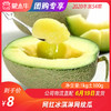 网红冰淇淋网纹瓜1KG/个 商品缩略图0