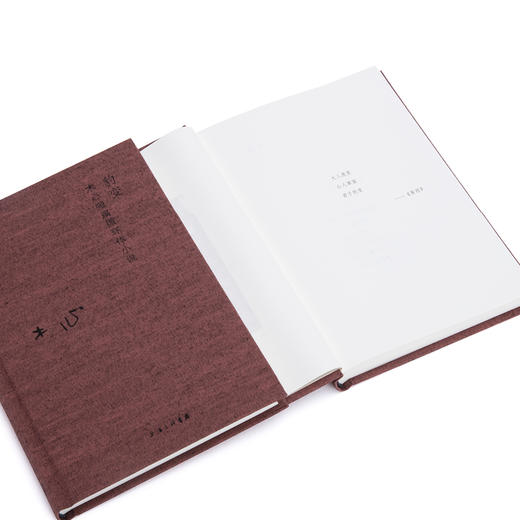 豹变 (布面精装“木心精选集”)木心 商品图6