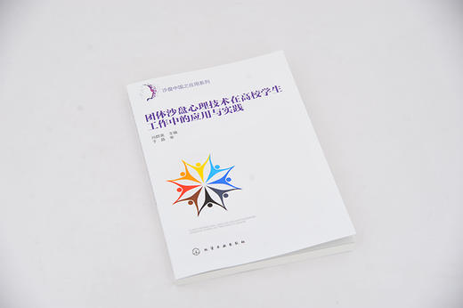 团体沙盘心理技术在高校学生工作中的应用与实践 大学生心理咨询与治i疗书籍 沙盘心理实用教程 体验式团体沙盘心理技术操作手册 商品图4