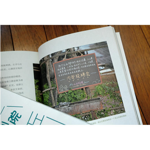 玩出个山间别院  山居 民宿 二冬 山居七年 借山而居 慢半拍 梦想很可贵 却不一定很贵 治愈爆笑的小院故事 无数人的栖身之所 商品图3