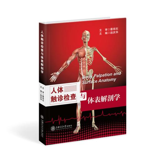 人体触诊检查与体表解剖学 9787313155504 商品图1