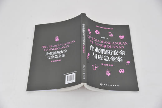 企业安全健康与应急管理丛书 企业消防安全与应急全案 实战精华版 杨顺清 火灾隐患车道疏散防火救水电梯防水栓喷雾淋浴参考 商品图5