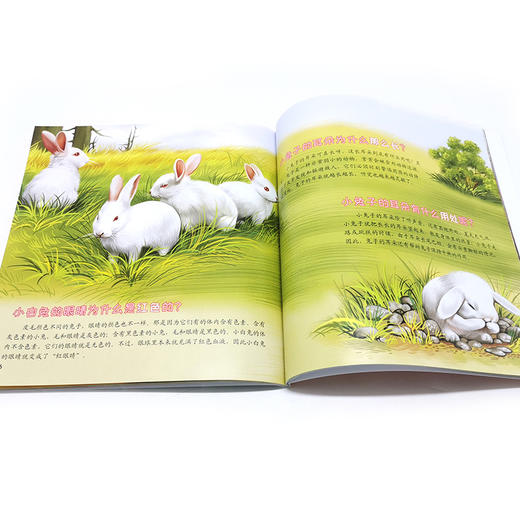 童眼识天下百问百答 动物王国 小学生科学课外阅读3-6-10岁认知大百科全书漫画书百问百答揭秘国家科普图书 儿童启蒙早教精装绘本 商品图4