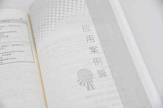 团体沙盘心理技术在高校学生工作中的应用与实践 大学生心理咨询与治i疗书籍 沙盘心理实用教程 体验式团体沙盘心理技术操作手册 商品图2