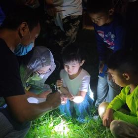 夜观动物活动 | 农园活动 * Night view  in the farm | Farm activities