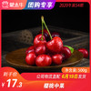 【团购】樱桃中果  500g 商品缩略图0