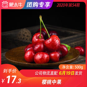 【团购】樱桃中果  500g