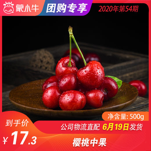 【团购】樱桃中果  500g 商品图0