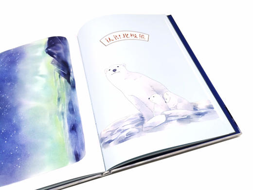 北极漫游记 北极科考基地大揭秘 李穆穆 走进北极科考基地 了解绚丽的北极光和北极气候学习垃圾分类保护北极动物北极科学科普知识 商品图3