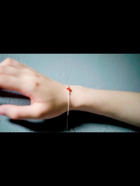 产品-CL-2.mp4