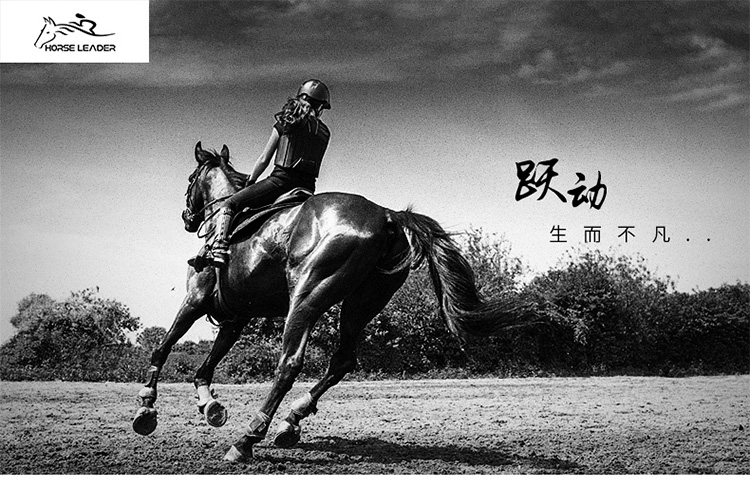 O1CN013xhYOw1qlzXG37i3s_!!410515537.jpg