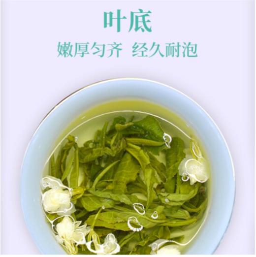 广西 大明山茉莉花茶250g/罐 特级浓香2020年新包装 产地直发 商品图3