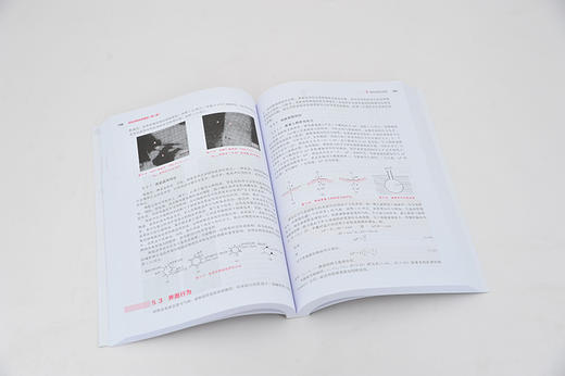 无机材料科学基础 第二版 宋晓岚  黄学辉 高等院校无机非金属材料各专业本科生专业教材 材料科学与工程专业本科生研究生教学用书 商品图2