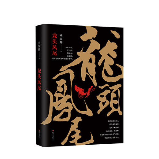 龙头凤尾 马家辉 文学 商品图0