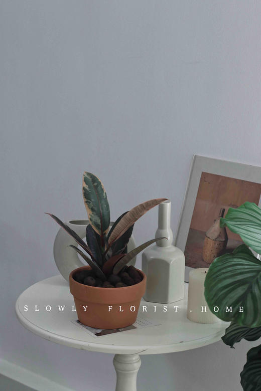 北欧风植物盆栽 商品图1