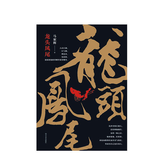 龙头凤尾 马家辉 文学 商品图1