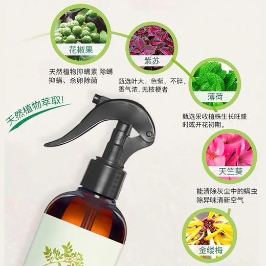 【植物除螨】青花椒除螨喷雾——植物萃取，孕婴适用 商品图3