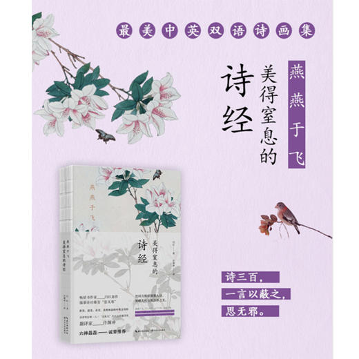 美得窒息的中英双语诗画集（六神磊磊诚挚推荐） 商品图1