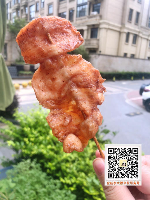 新品推荐，童年的味道～ 校门口的里脊肉（一包10串） 商品图1