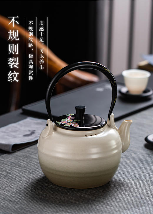 茶壶-时尚蚂蚁-陶壶-百年壶娇陶壶 商品图1