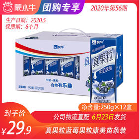 【团购】真果粒蓝莓果粒康美苗条装250g×12盒