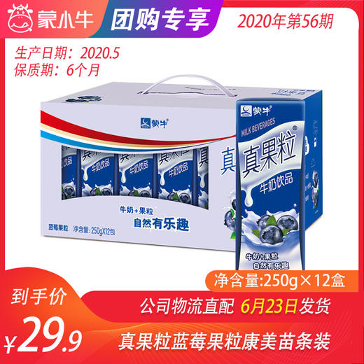 【团购】真果粒蓝莓果粒康美苗条装250g×12盒 商品图0