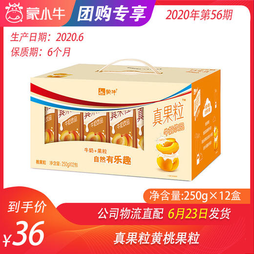 【团购】真果粒黄桃果粒250g×12盒 商品图0