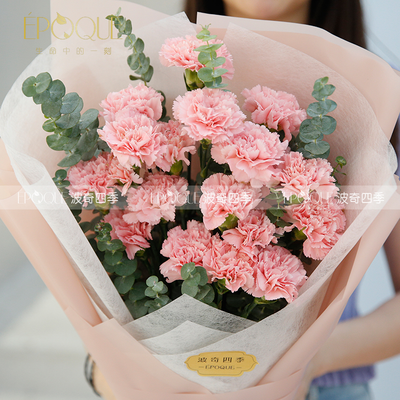19枝粉色康乃馨韩式鲜花花束新款