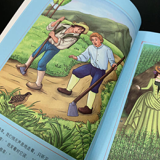 森林报（三四年级课外阅读）：中小学课外阅读必读名著 商品图2
