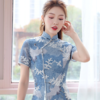 XGT-Q2086蓝鹤夏季新款改良雪纺印花绣花A摆中国风典雅连衣裙 商品缩略图3