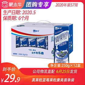 【团购】真果粒蓝莓果粒康美苗条装250g×12盒