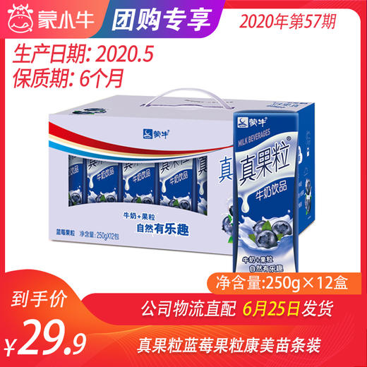 【团购】真果粒蓝莓果粒康美苗条装250g×12盒 商品图0