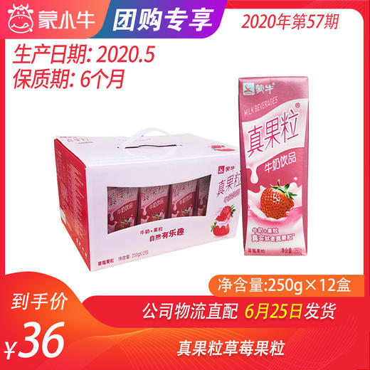 【团购】真果粒草莓果粒250g×12盒 商品图0