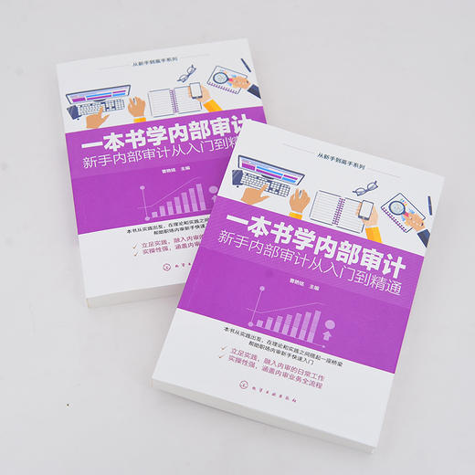 从新手到高手系列一本书学内部审计新手内部审计从入门到精通内部审计全流程详解内部审计实战范本内部审计从业者培训实用指南图书 商品图2