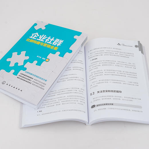 企业社群 社群构建与营销全案 李子岩 谢静 社群营销方法技巧与实践社群裂变思维微博微信营销自媒体互联网店网络运营创业微商书籍 商品图2