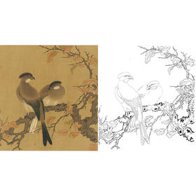 工笔画白描底稿明清花鸟《梧桐双鸟图》斗方小品册页-多种白描尺寸可选-MQ08