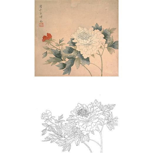 工笔画白描底稿明清花鸟 恽冰 牡丹图 斗方小品册页 MQ13 商品图0