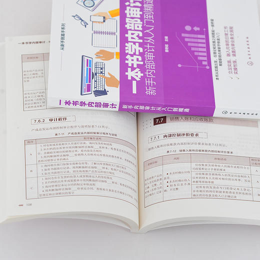 从新手到高手系列一本书学内部审计新手内部审计从入门到精通内部审计全流程详解内部审计实战范本内部审计从业者培训实用指南图书 商品图4