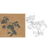 工笔画白描底稿明清花鸟《折枝果实图》斗方小品册页-多种白描尺寸可选-MQ10 商品缩略图0