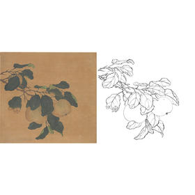 工笔画白描底稿明清花鸟《折枝果实图》斗方小品册页-多种白描尺寸可选-MQ10