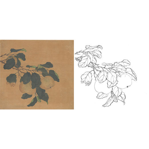 工笔画白描底稿明清花鸟《折枝果实图》斗方小品册页-多种白描尺寸可选-MQ10 商品图0