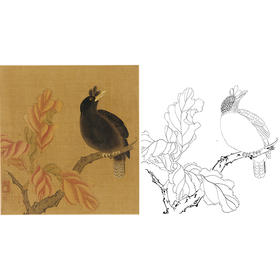 工笔画白描底稿明清花鸟《八哥登枝图》斗方小品册页-多种白描尺寸可选-MQ06