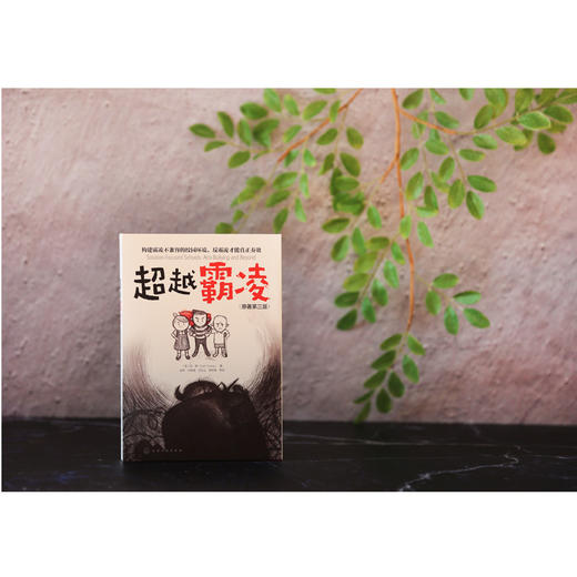 超越霸凌 苏·扬 霸凌事件高i效应对方式家庭教育书籍男孩子女孩子自我保护告别校园霸凌儿童性侵犯预防书籍青少年中小学反霸凌参考 商品图2