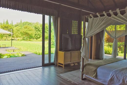 依田桃源闲野双早优惠价 商品图0