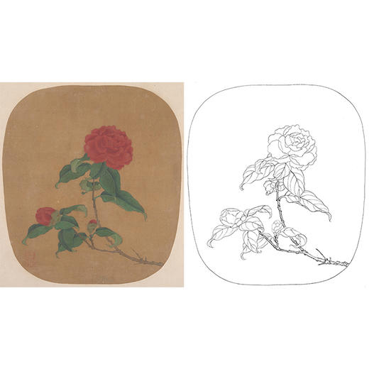 工笔画白描底稿明清花鸟小品《折枝山茶花图》-多种白描尺寸可选-MQ04 商品图0