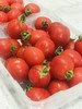 【活动】上海本地樱桃小番茄　2盒/份    400g/盒  好吃实惠　 商品缩略图8